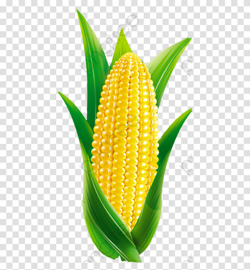 Detail Corn Clipart Png Nomer 28