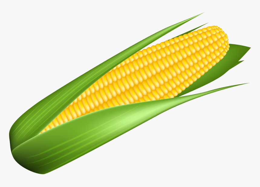 Detail Corn Clipart Png Nomer 6