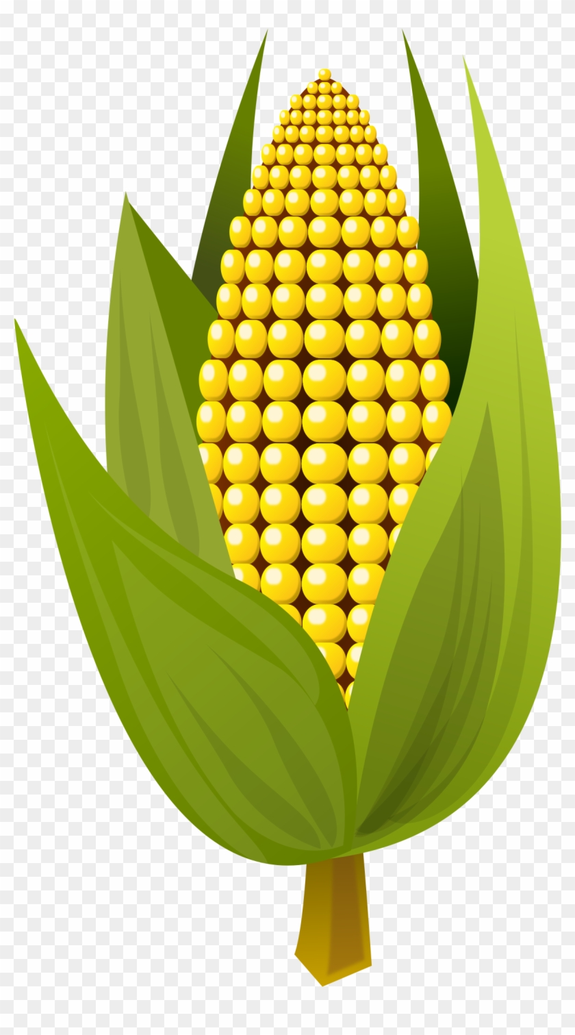 Detail Corn Clipart Png Nomer 48