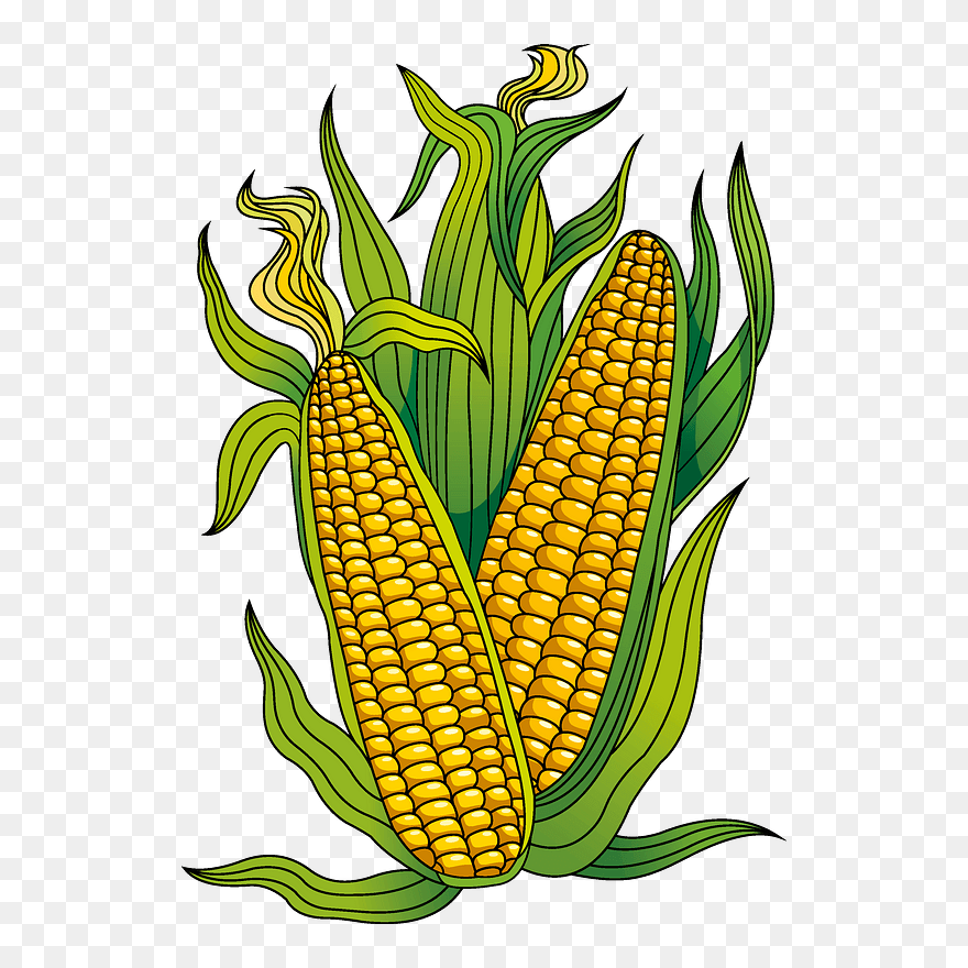 Detail Corn Clipart Png Nomer 54
