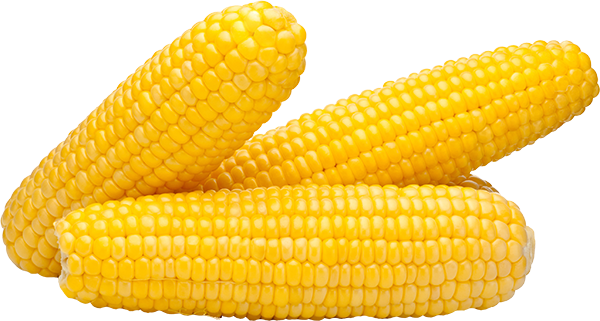 Detail Corn Images Nomer 25