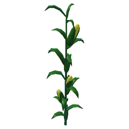 Detail Corn Plant Png Nomer 52