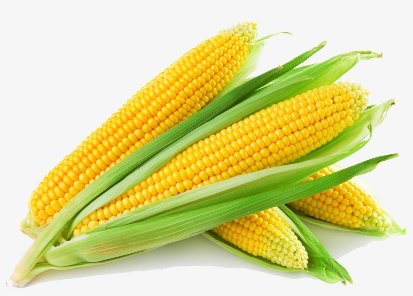Detail Corn Transparent Nomer 12