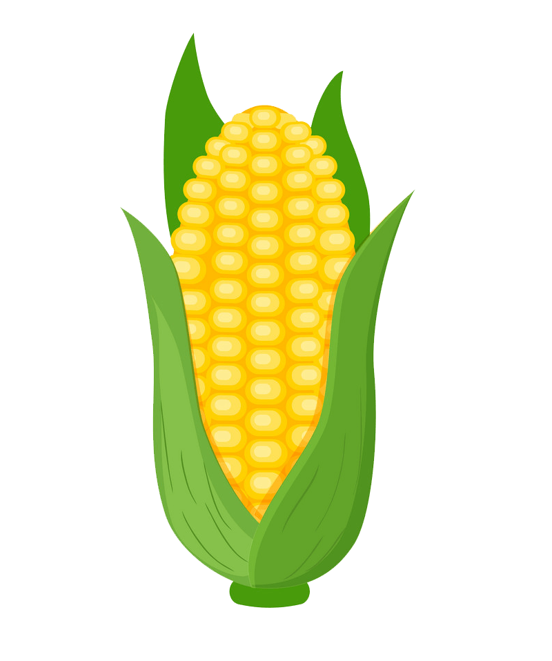 Detail Corn Transparent Nomer 23