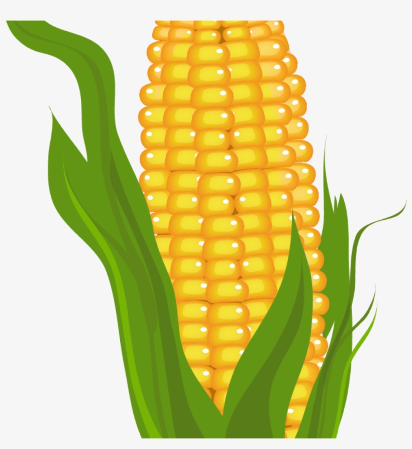 Detail Corn Transparent Nomer 38