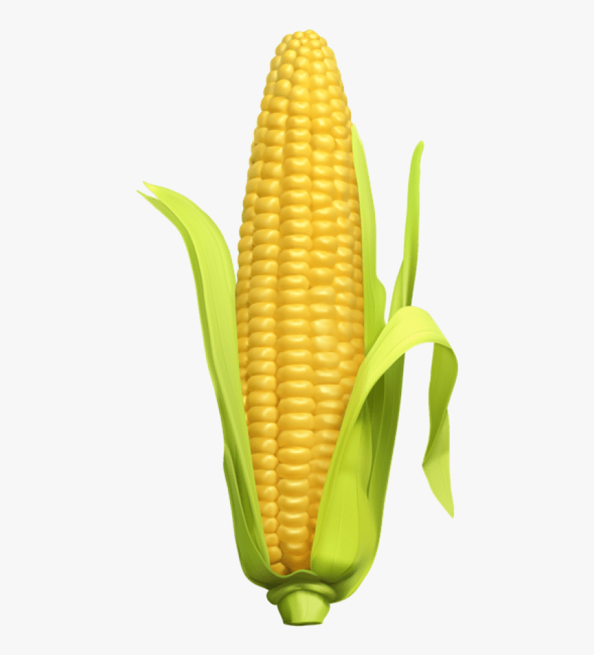 Detail Corn Transparent Background Nomer 12