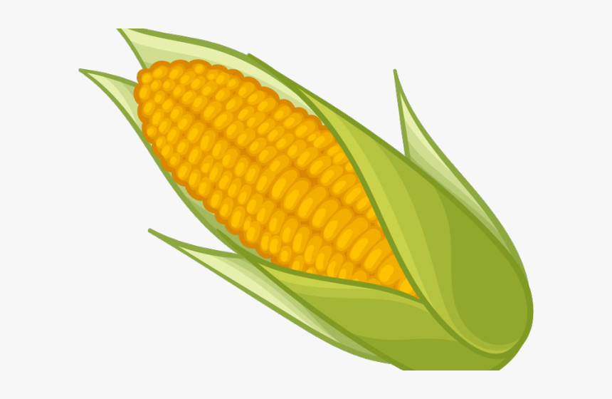 Detail Corn Transparent Background Nomer 13