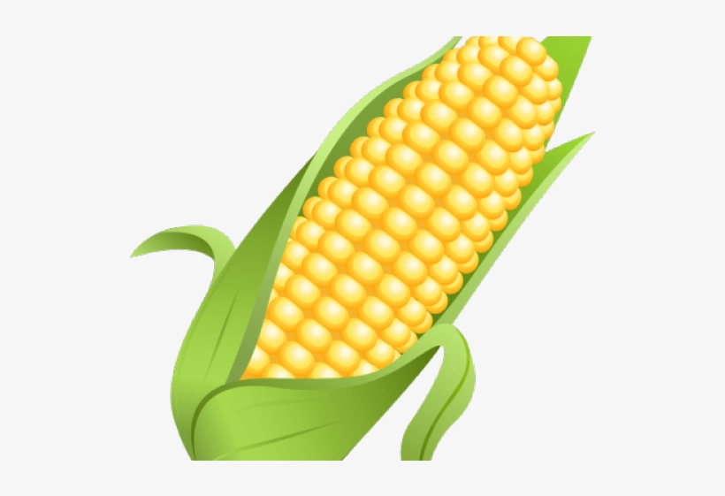 Detail Corn Transparent Background Nomer 18