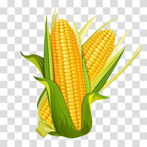Detail Corn Transparent Background Nomer 20