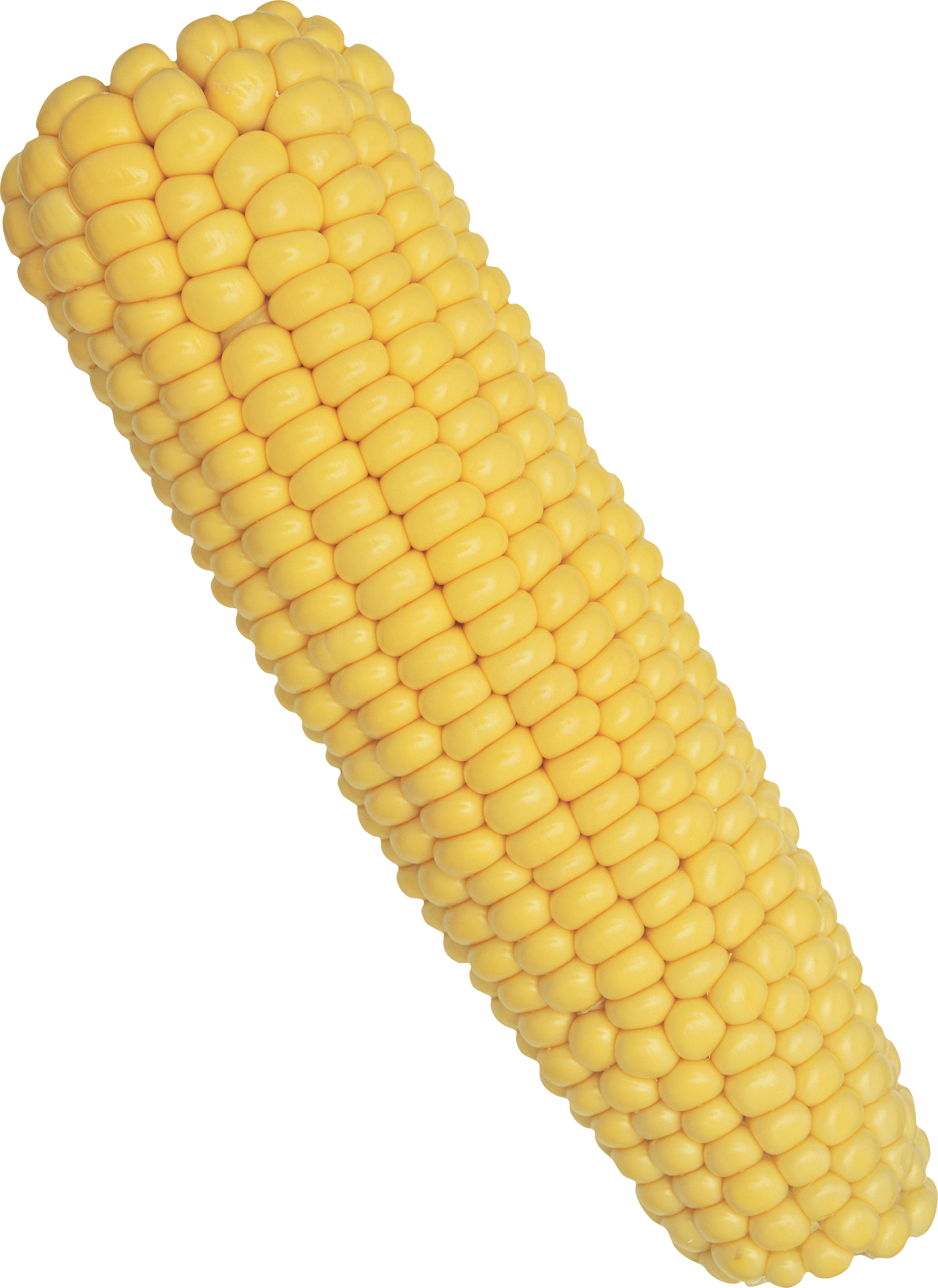 Detail Corn Transparent Background Nomer 22