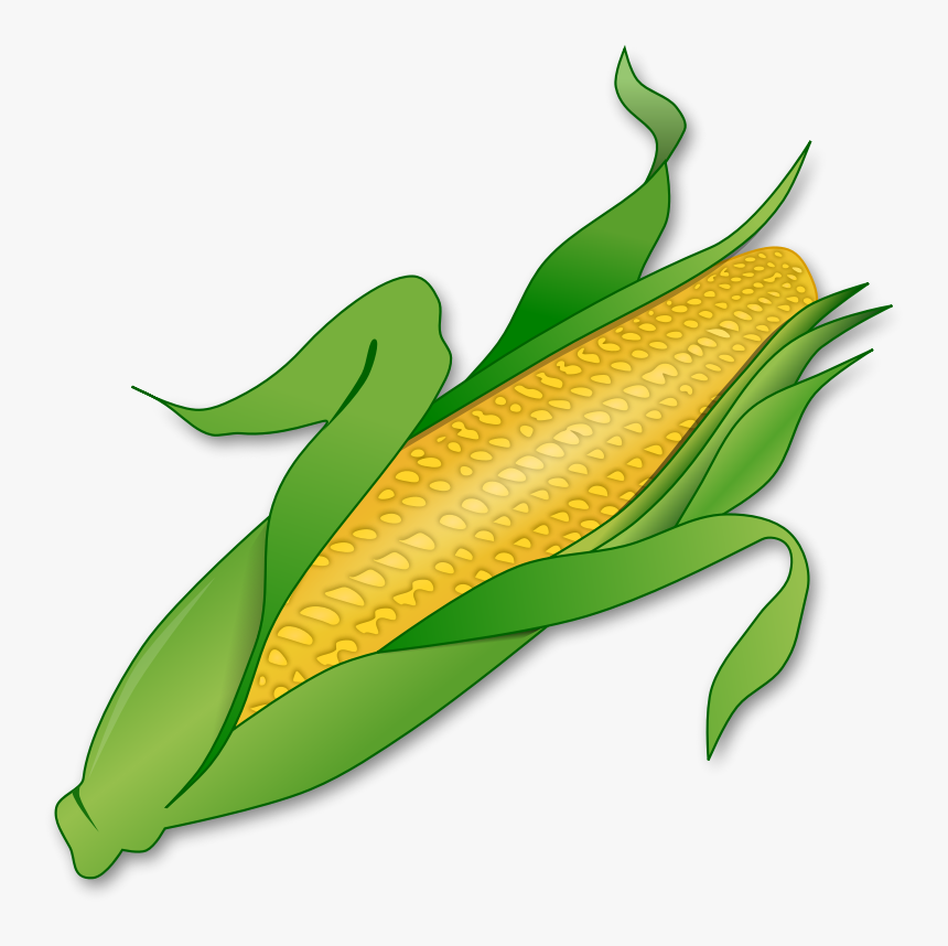 Detail Corn Transparent Background Nomer 26