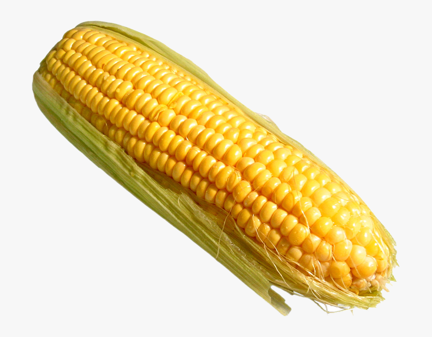 Detail Corn Transparent Background Nomer 34