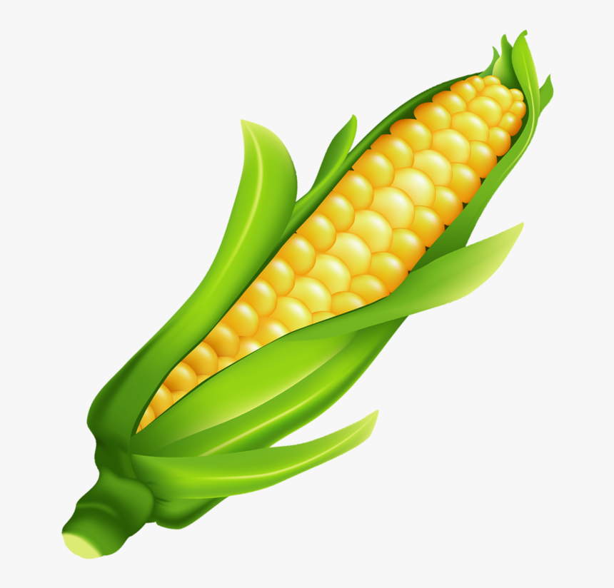 Detail Corn Transparent Background Nomer 38