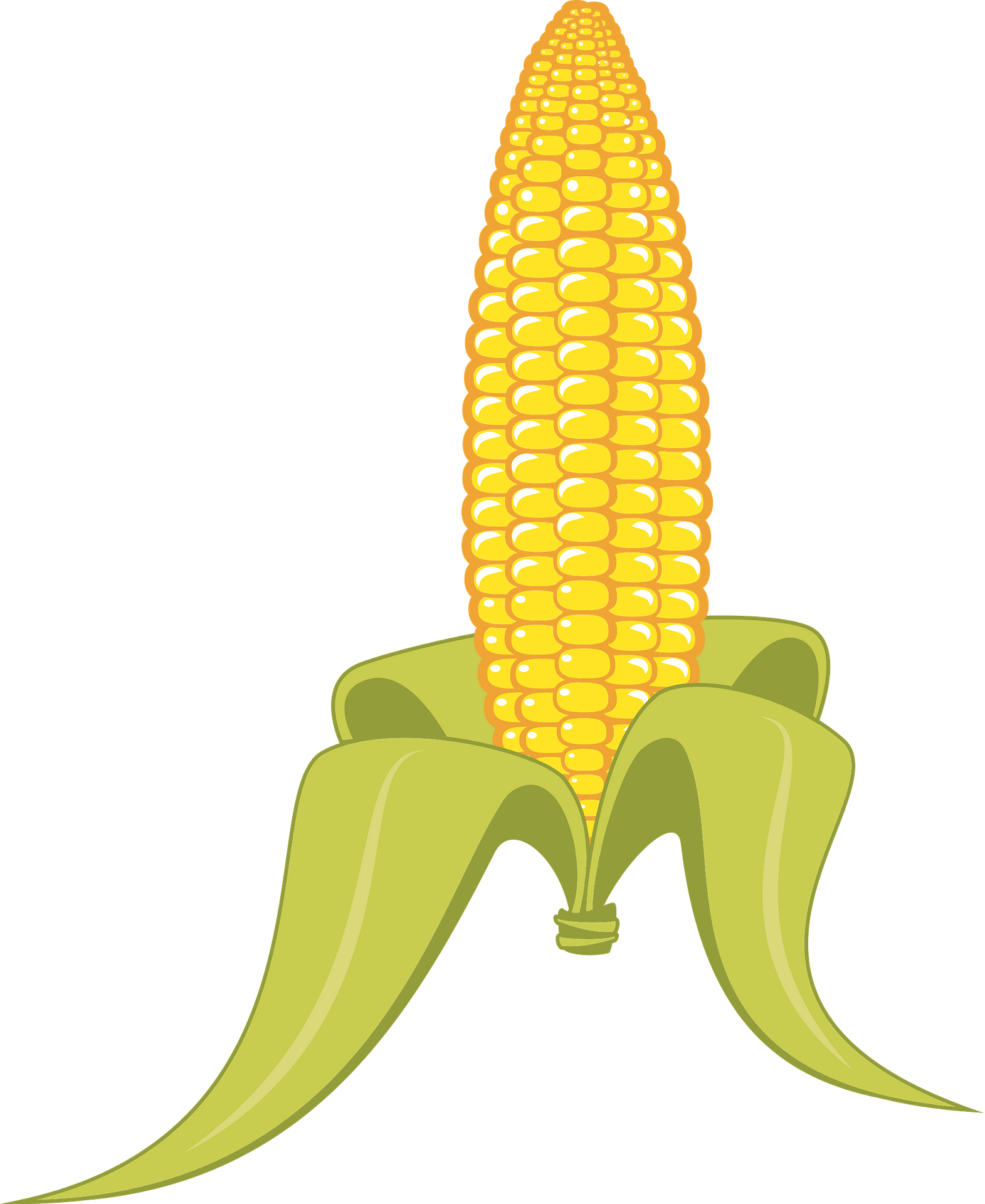 Detail Corn Transparent Background Nomer 39