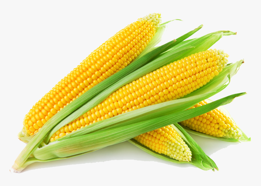 Detail Corn Transparent Background Nomer 7