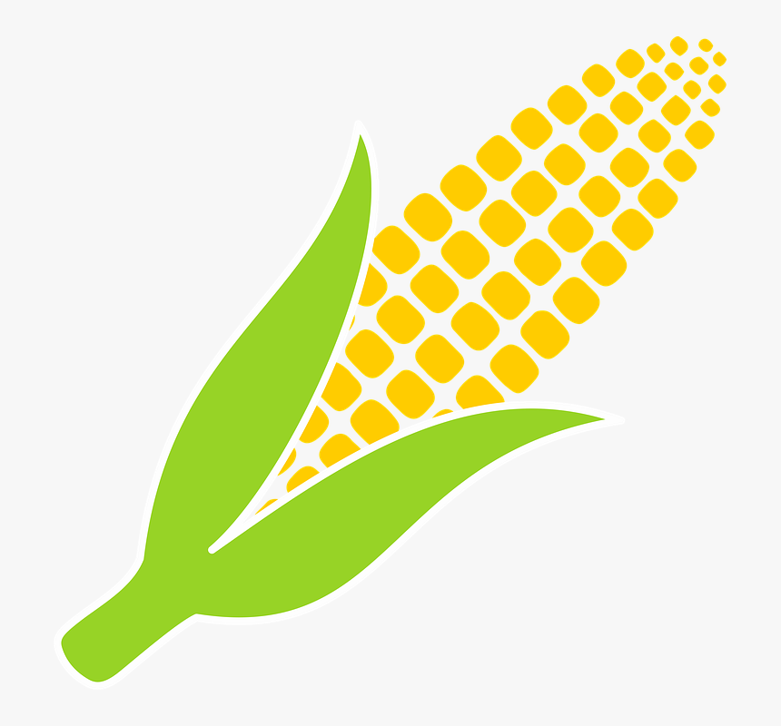 Corn Vector Png - KibrisPDR