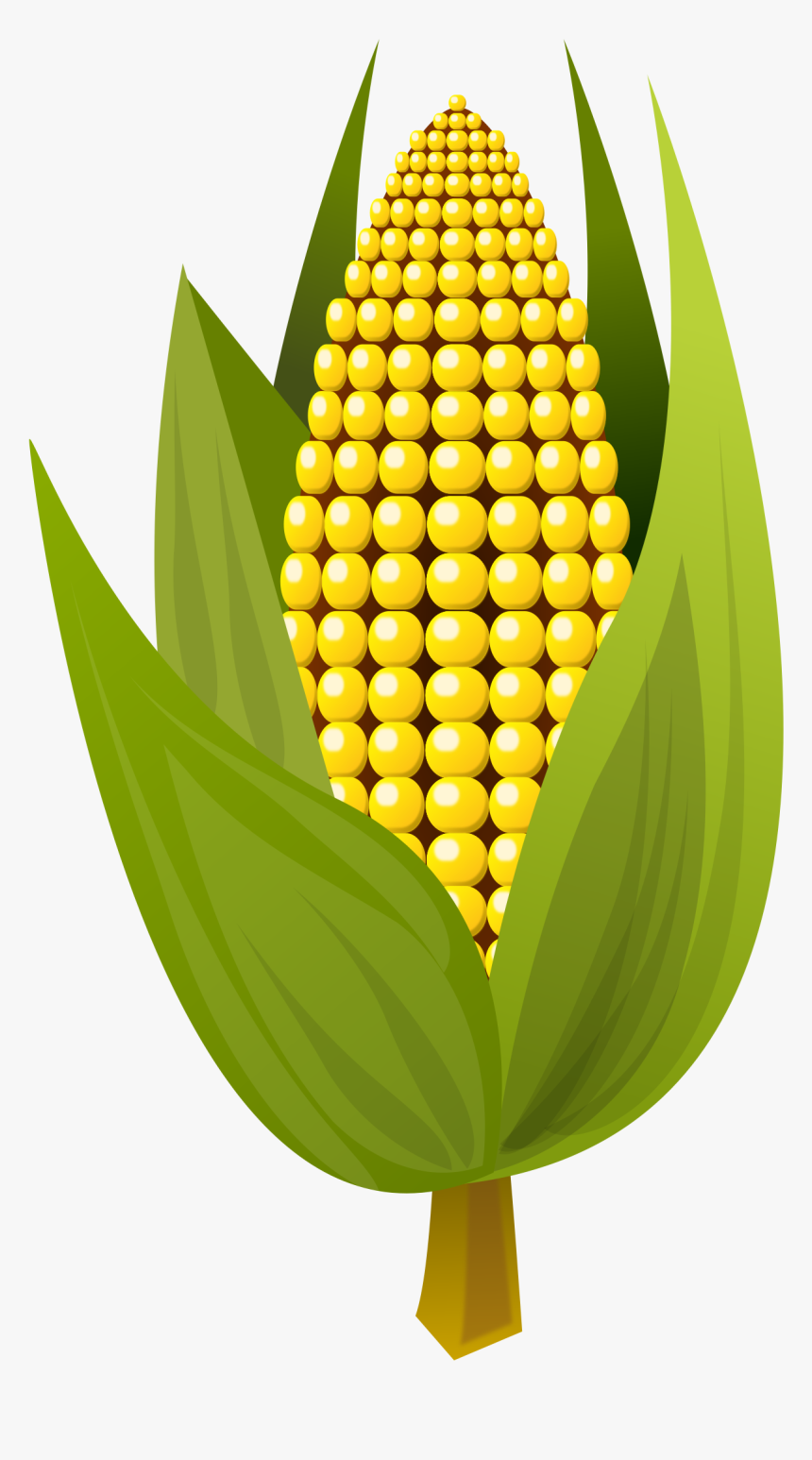 Detail Corn Vector Png Nomer 11