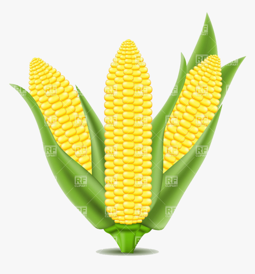 Detail Corn Vector Png Nomer 17