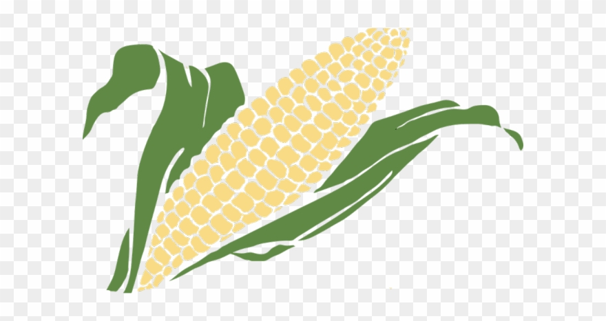 Detail Corn Vector Png Nomer 19