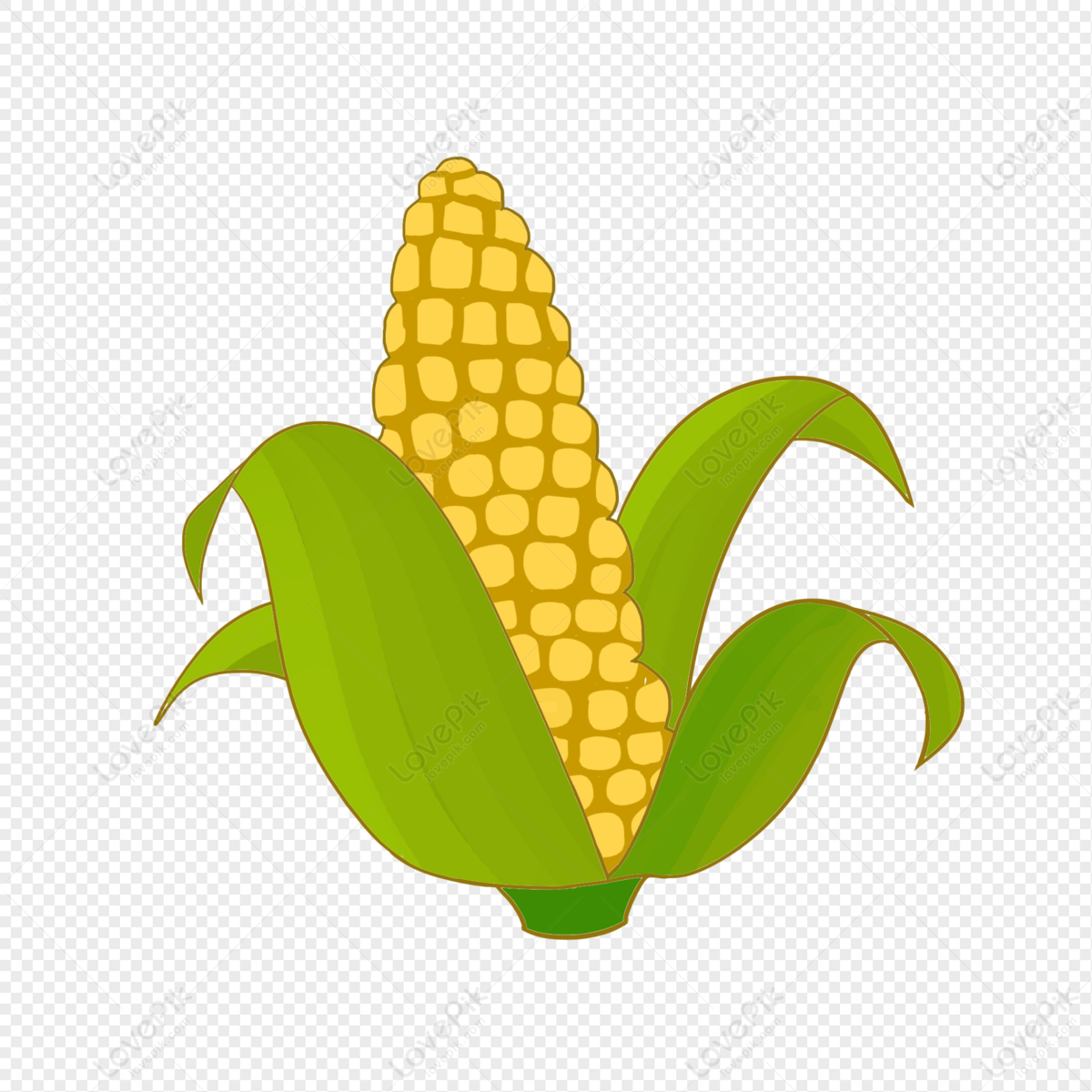 Detail Corn Vector Png Nomer 20