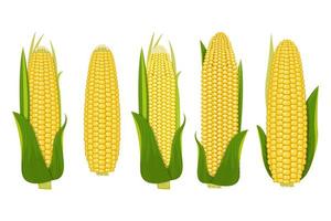 Detail Corn Vector Png Nomer 26