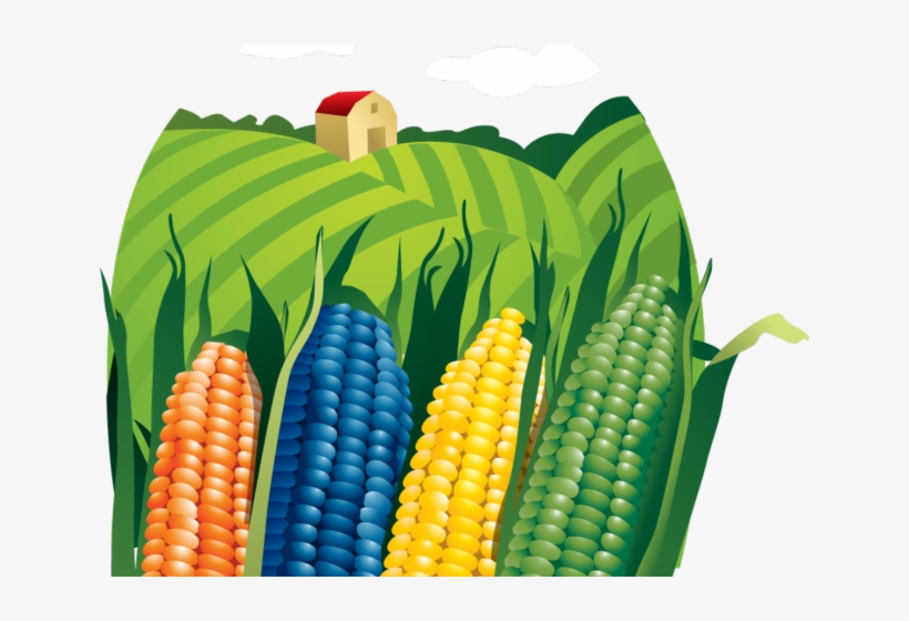 Detail Corn Vector Png Nomer 32