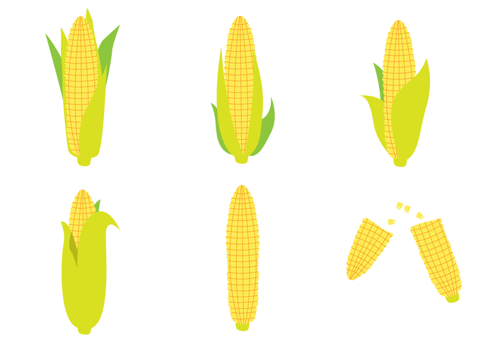 Detail Corn Vector Png Nomer 34