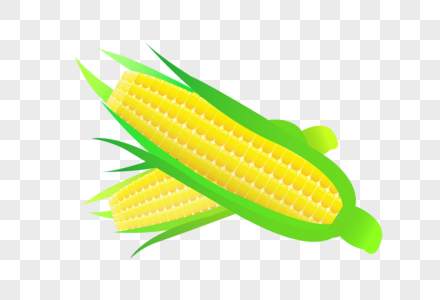 Detail Corn Vector Png Nomer 35