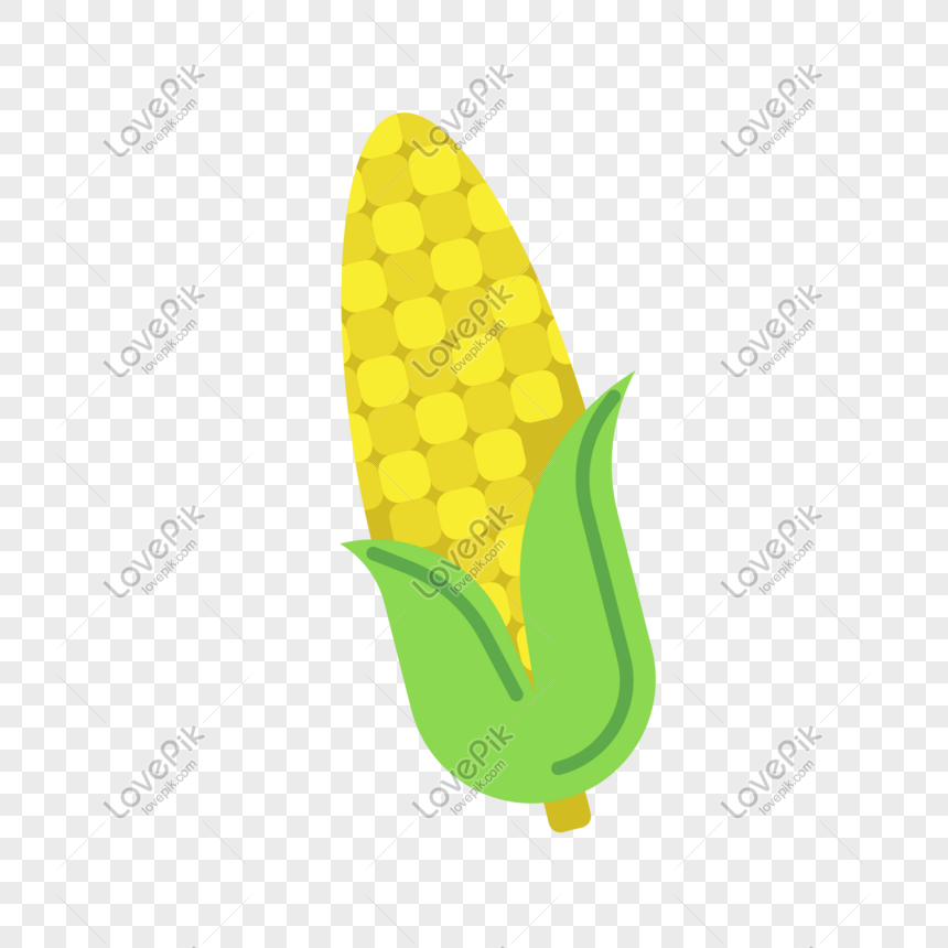 Detail Corn Vector Png Nomer 36