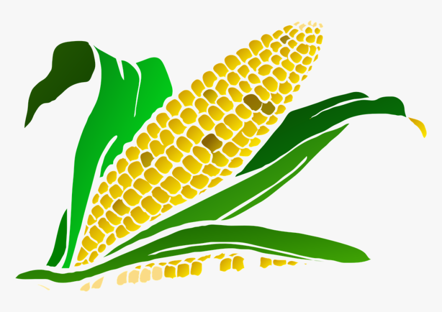 Detail Corn Vector Png Nomer 44