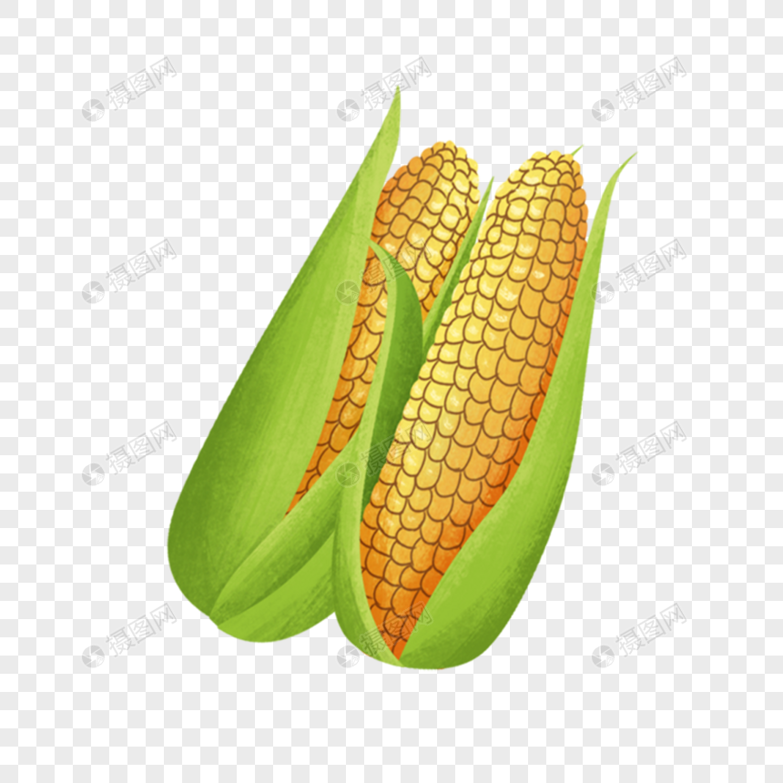 Detail Corn Vector Png Nomer 47