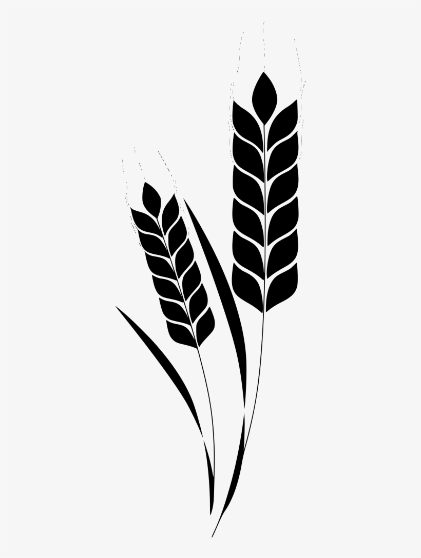 Detail Corn Vector Png Nomer 50