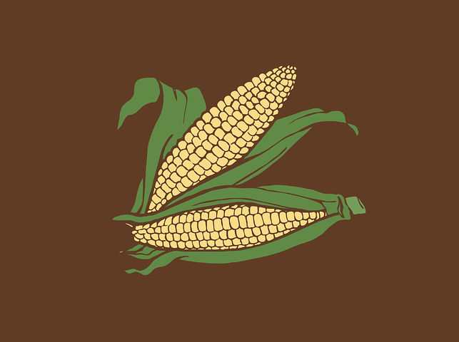 Detail Corn Vector Png Nomer 54