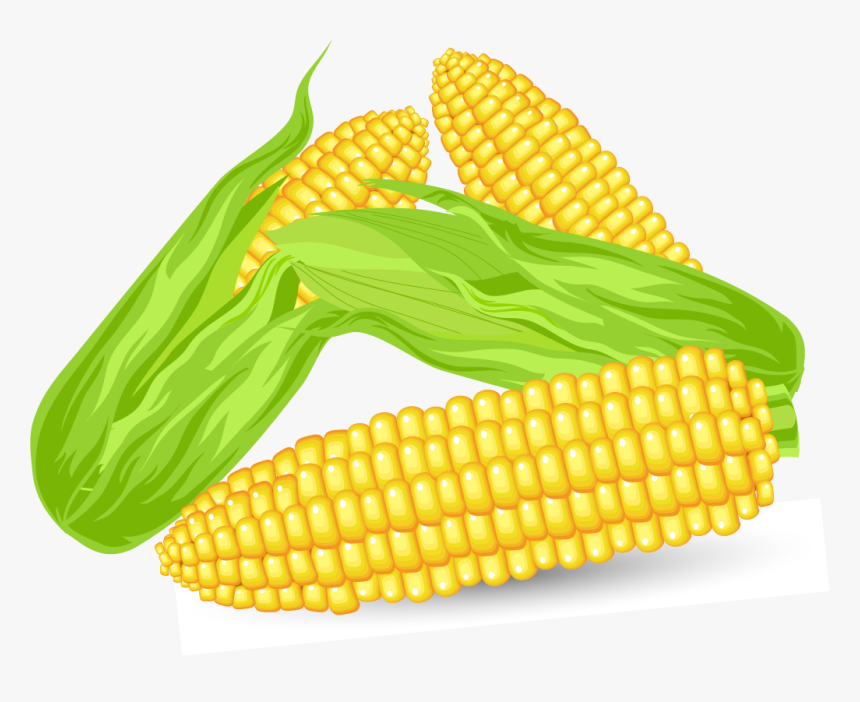 Detail Corn Vector Png Nomer 7