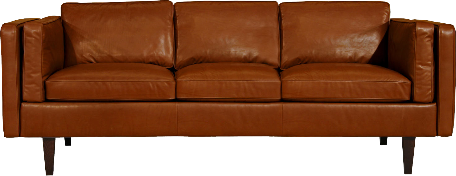 Couch No Background - KibrisPDR