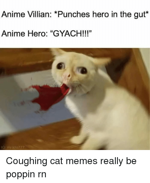 Detail Coughing Cat Meme Nomer 26