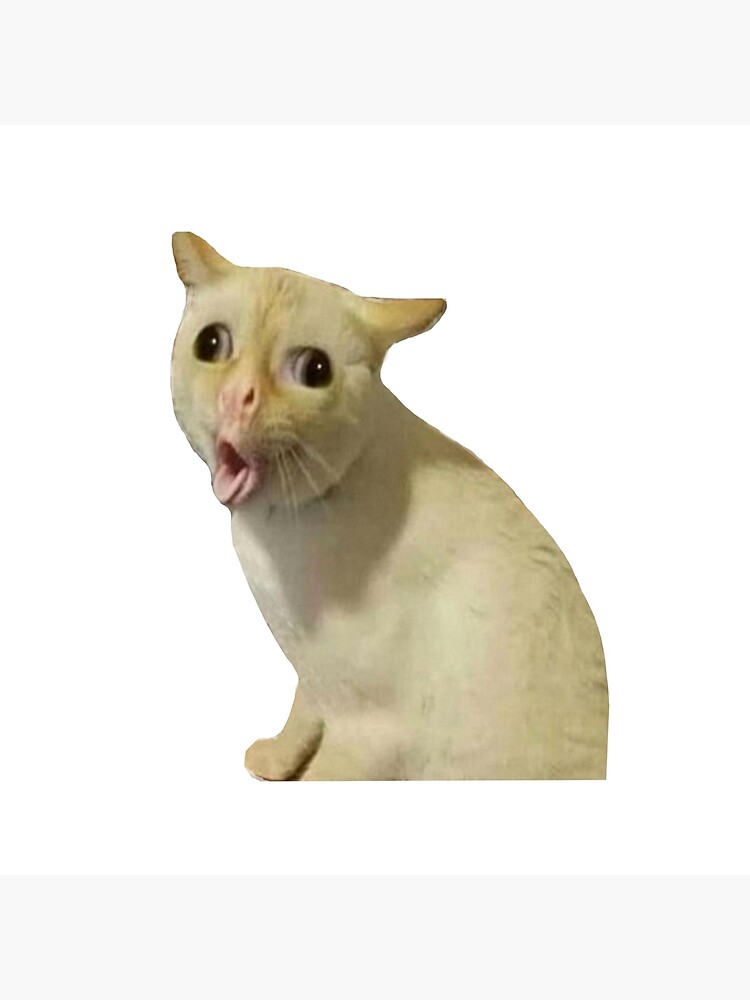 Detail Coughing Cat Meme Nomer 28