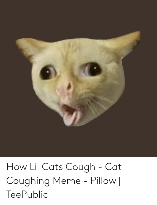 Detail Coughing Cat Meme Nomer 55