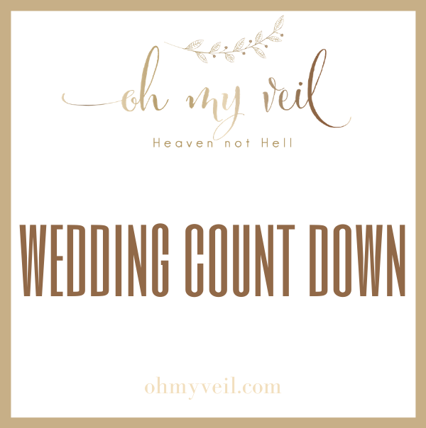 Detail Counting Down Wedding Quotes Nomer 4