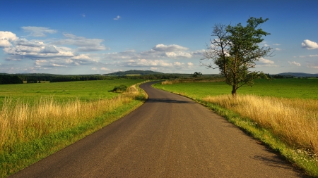 Detail Country Road Wallpaper Nomer 20
