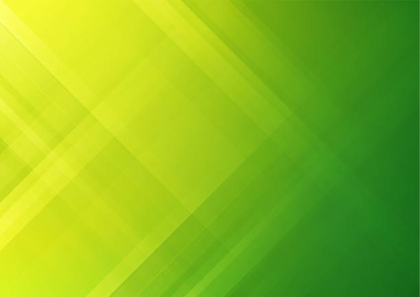 Detail Cover Design Background Green Nomer 56