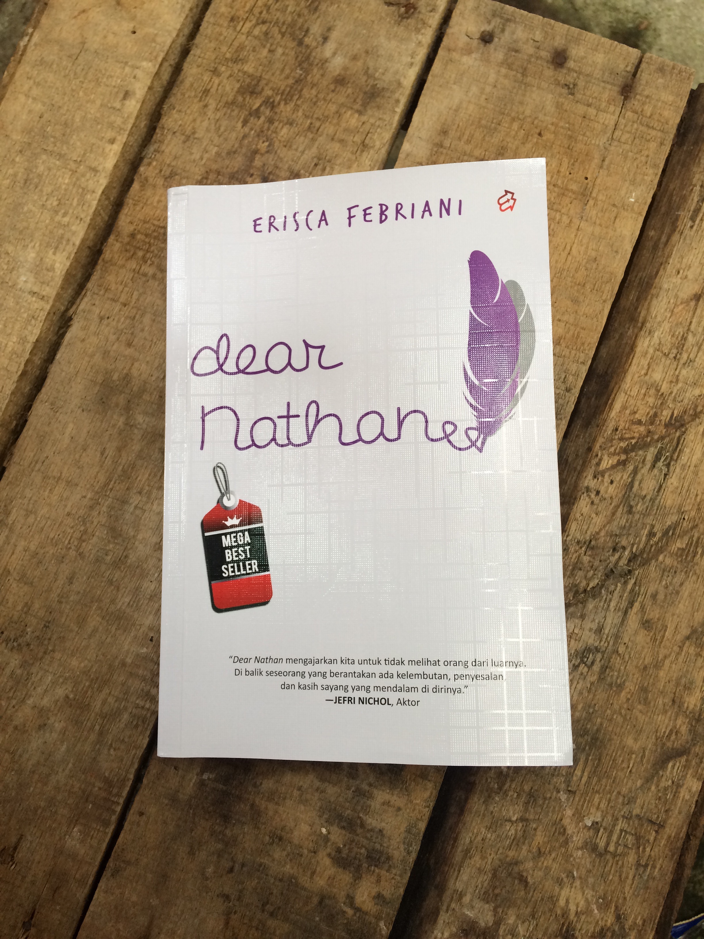 Detail Cover Novel Dear Nathan Nomer 37