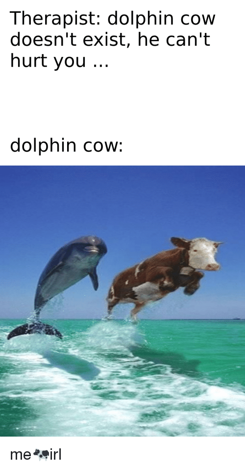 Detail Cow And Dolphin Meme Nomer 11