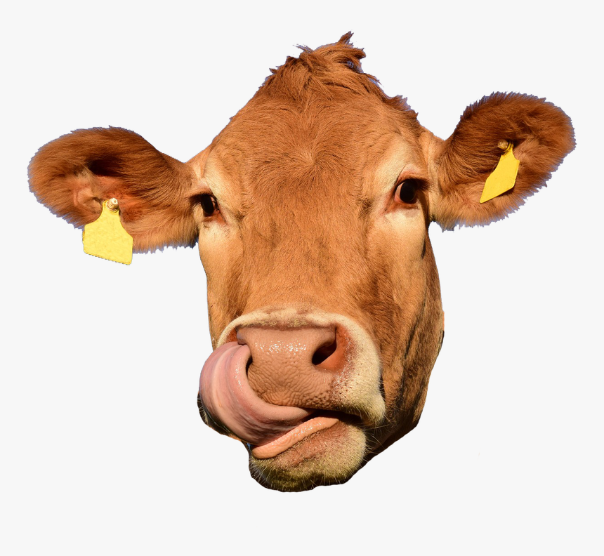 Detail Cow Face Png Nomer 2