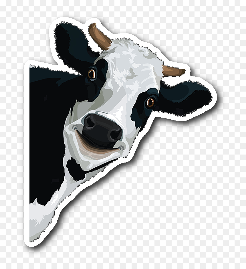 Detail Cow Face Png Nomer 21