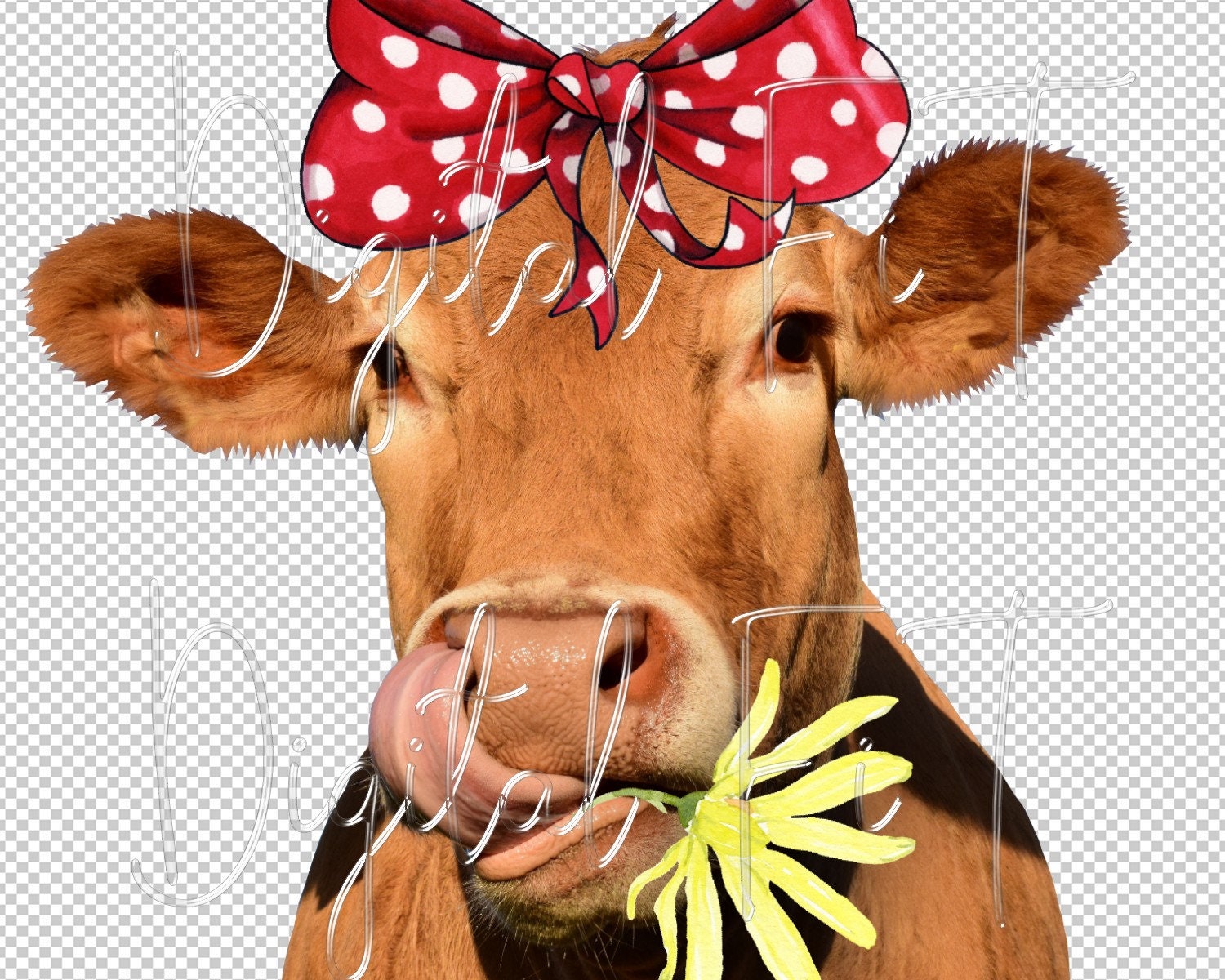 Detail Cow Face Png Nomer 22