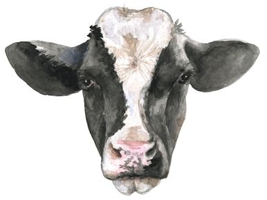 Detail Cow Face Png Nomer 29