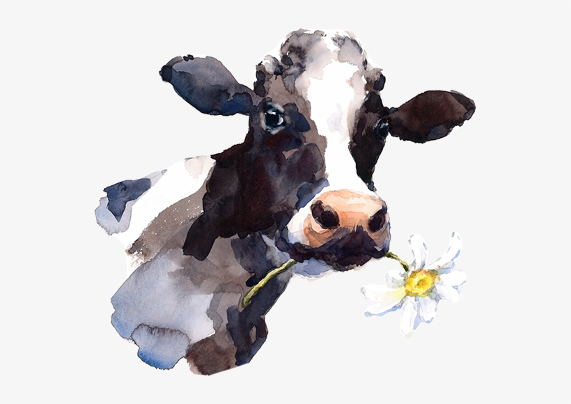 Detail Cow Head Png Nomer 32