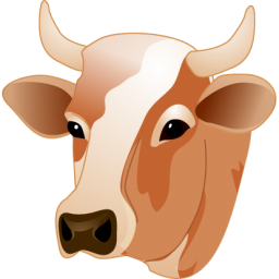 Detail Cow Head Png Nomer 34