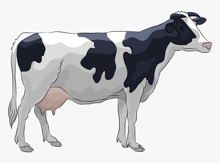Detail Cow Images Clipart Nomer 10